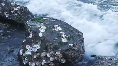海浪拍打礁石空镜头素材视频的预览图